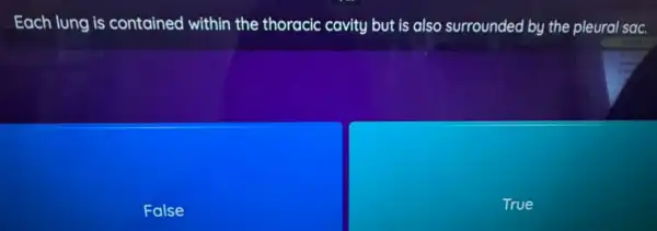 Each lung is contained within the thoracic cavity but is also surrounded by the pleural sac.
False
True