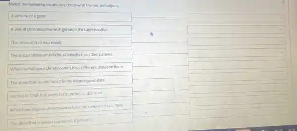 Match the following vocabulary terms with the best definitions.
Aversion of a gene
square 
A pair of chromosomes with genes in the same location
square 
The physical trait expressed
square 
The actual alleles an individual inherits from their parents
square 
When homologous chromosomes have different alleles on them
square 
The allele that is only "seen" in the homozygous state
square 
Section of DNA that codes for a protein and/or trait.
square 
When homologous chromosomes have the same alleles on them
square 
The allele that is always expressed, if present
square