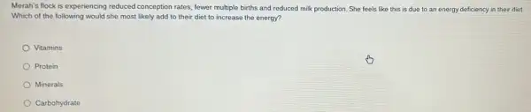 Merah's flock is experiencing reduced conception rates, fewer multiple births and reduced milk production. She feels like this is due to an energy deficiency in their diet.
Which of the following would she most likely add to their diet to increase the energy?
Vitamins
Protein
Minerals
Carbohydrate