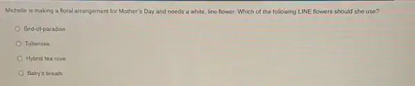 Michelle is making a floral arrangement for Mother'Day and needs a white, line flower. Which of the following LINE flowers should she use?
Bird-of-paradise
Tuberose
Hybrid tea rose
Baby's breath