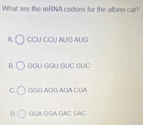 What are the mRNA codons for the albing cat?
A CCU CCU AUG AUG
B GGU GGU GUC GUC
C GGGAGGAGA CGA
GGAGGAGAC GAC