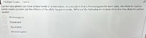 Multiple Cholce 1 point
Garden pea plants can have yellow speds or green seeds in a pes plant that is heterozygous for seed color, the allele for yellow
seeds masks (covers up)the effects of the allele for greenseeds, Whici of the following terms best clearning the allele for yellow
seeds?
Homozreous
Doroinant
Recessive
Heterocygous