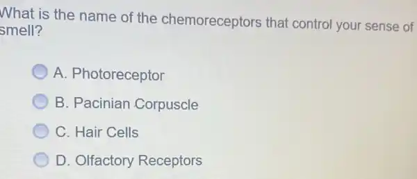 What is the name of the chemoreceptors that control your sense of
smell?
A . Photoreceptor
B. Pacinian Corpuscle
C. Hair Cells
D. Olfactory Receptors