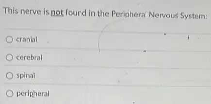 This nerve is not found in the Peripheral Nervous System:
cranial
cerebral
spinal
peripheral