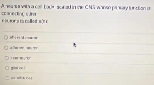 A neuron with a cell body located in the CNS whose primary function is
connecting other
neurons is called a(n):
efferent neuron
afferent neuron
interneuron
glial cell
satellite cell