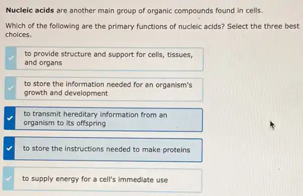 Nucleic acids are another main group of organic compounds found in cells.
Which of the following are the primary functions of nucleic acids? Select the three best
choices.
to provide structure and support for cells, tissues,
and organs
to store the information needed for an organism's
growth and development
to transmit hereditary information from an
organism to its offspring
to store the instructions needed to make proteins
to supply energy for a cell's immediate use