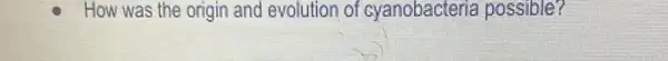 How was the origin and evolution of cyanobacteria possible?