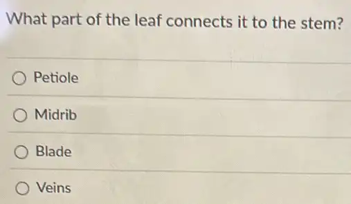 What part of the leaf connects it to the stem?
Petiole
Midrib
Blade
Veins