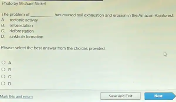 Photo by Michael Nickel
The problem of __ has caused soil exhaustion and erosion in the Amazon Rainforest
A. tectonic activity
B. reforestation
C. deforestation
D. sinkhole formation
Please select the best answer from the choices provided.
A
B
C
D