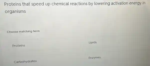 Proteins that speed up chemical reactions by lowering activation energy in
organisms
Choose matching term
square 
Lipids
Enzymes
Carbohydrates