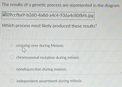 The results of a genetic process are represented in the diagram.
[209ccfba9-b260-4a8d -a4c4-936a4c80fbf6.jpg
Which process most likely produced these results?
crossing over during Meiosis
chromosomal mutation during mitosis
nondisjunction during meiosis
independent assortment during mitosis