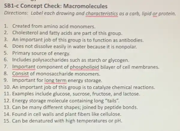 SB1-c Concept Check:Macromolecules
Directions: Label each drawing and characteristics as a carb, lipid or protein.
1. Created from amino acid monomers.
2. Cholesterol and fatty acids are part of this group.
3. An important job of this group is to function as antibodies.
4. Does not dissolve easily in water because it is nonpolar.
5. Primary source of energy.
6. Includes polysaccharides such as starch or glycogen.
7. Important component of phospholipid bilayer of cell membranes.
8. Consist of monosaccharide monomers.
9. Important for long term energy storage.
10. An important job of this group is to catalyze chemical reactions.
11. Examples include glucose, sucrose, fructose and lactose.
12. Energy storage molecule containing long "tails".
13. Can be many different shapes; joined by peptide bonds.
14. Found in cell walls and plant fibers like cellulose.
15. Can be denatured with high temperatures or pH.