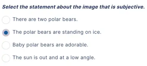 Select the statement about the image that is subjective.
There are two polar bears.
D The polar bears are standing on ice.
Baby polar bears are adorable.
The sun is out and at a low angle.