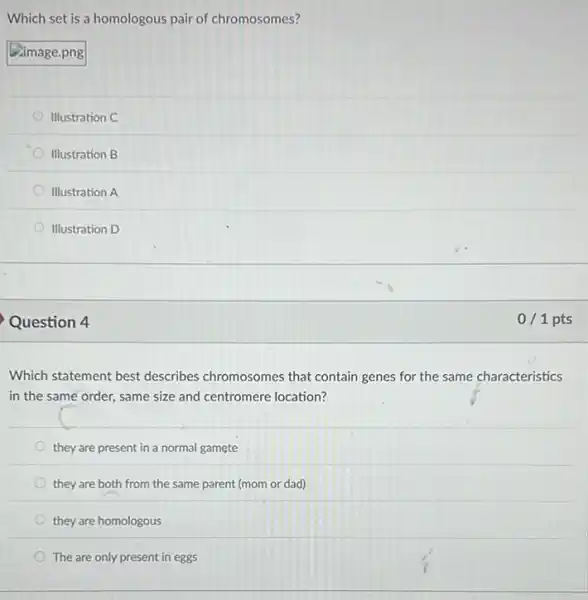 Which set is a homologous pair of chromosomes?
Eimage.png
Illustration C
Illustration B
Illustration A
Illustration D
Question 4
Which statement best describes chromosomes that contain genes for the same characteristics
in the same order.same size and centromere location?
they are present in a normal gamete
they are both from the same parent (mom or dad)
they are homologous
The are only present in eggs
0/1 pts