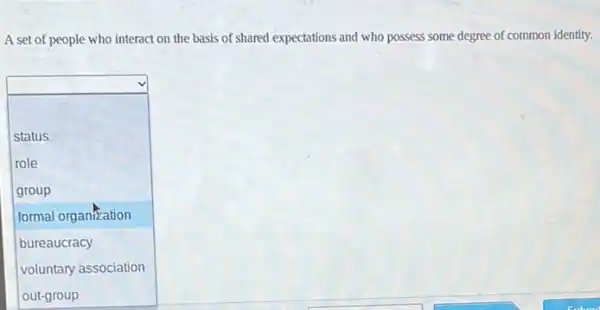 A set of people who interact on the basis of shared expectations and who possess some degree of common identity.
square 
status
role
group
formal organization
bureaucracy
voluntary association