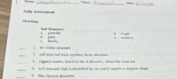 Soils Assessment
Matching
Soil Structure
a. granular
d. single
b. platy
c. massive
c. blocky
__ 1. no visible structure
__ 2. soil does not stick together, loose structure
__ 3. organic matter; found in the A Horizon;where the roots are
__ 4. soil strucutre that is identified by its nearly square or angular shape
__ 5. flat, layered strucutre