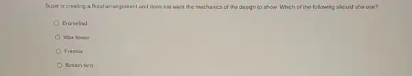 Susie is creating a floral arrangement and does not want the mechanics of the design to show. Which of the following should she use?
Bromeliad
Wax flower
Freesia
Boston fern