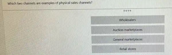 Which two channels are examples of physical sales channels?
square 
0000
Wholesalers
Auction marketplaces
General marketplaces