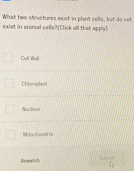 What two structures exist in plant cells, but do not
exist in animal cells?(Click all that apply)
Cell Wall
Chloroplast
Nucleus
Mitochondria
Rewatch