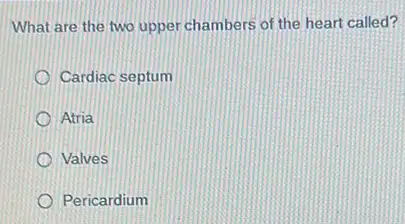 What are the two upper chambers of the heart called?
Cardiac septum
Atria
Valves
Pericardium