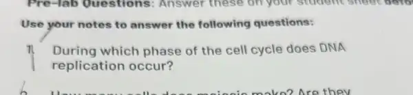 Use your notes to answer the following questions:
n During which phase of the cell cycle does DNA
replication occur?