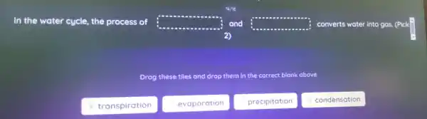 In the water cycle.the process of square  and square  converts water into gas . (Pick
2)
Drag these tiles and drop them in the correct blank above
: transpiration
: evaporation
: precipitation
: condensation