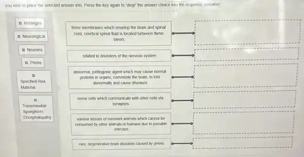 you wish to place the selected answer into. Press the key again to "drop" the answer choice into the response container.
: Meninges
: Neurological
three membranes which envelop the brain and spinal
cord; cerebral spinal fluid is located between these
layers
square 
: Neurons
square 
related to disorders of the nervous system
: Prions
Specified Risk
Material
abnormal, pathogenic agent which may cause normal
proteins in organs, commonly the brain, to fold
abnormally and cause diseases
square 
Transmissible
Spongiform
Encephalopathy
nerve cells which communicate with other cells via
synapses
square 
various tissues of ruminant animals which cannot be
consumed by other animals or humans due to possible
infection
square 
rare, degenerative brain diseases caused by prions
square