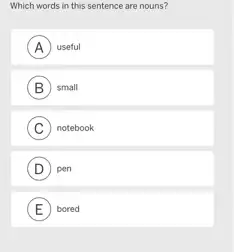 Which words in this sentence are nouns?
A useful A
B small B
C notebook
D ) pen
E bored