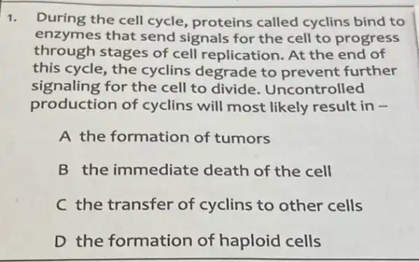 1. During the cell cycle , proteins called cyclins bind to
enzymes that send signals for the cell to progress
through stages of cell replication. At the end of
this cycle, the cyclins degrade to prevent further
signaling for the cell to divide . Uncontrolled
production of cyclins will most likely result in -
A the formation of tumors
B the immediate death of the cell
C the transfer of cyclins to other cells
D the formation of haploid cells