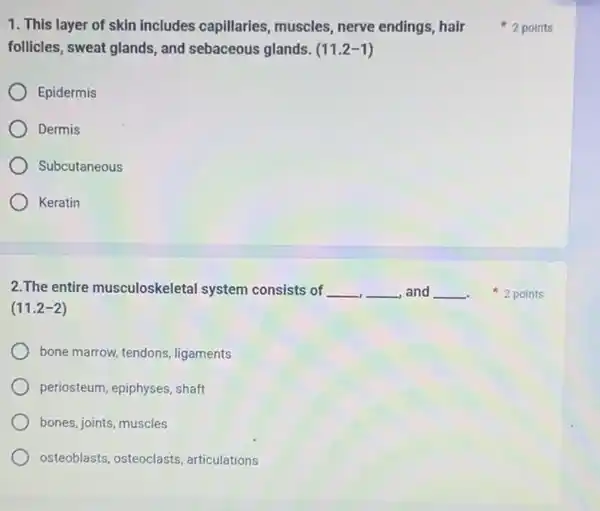 1. This layer of skin includes capillaries, muscles nerve endings, hair
follicles, sweat glands, and sebaceous glands. (11.2-1)
Epidermis
Dermis
Subcutaneous
Keratin
2.The entire musculoskeletal system consists of __ __ and __
(11.2-2)
bone marrow, tendons, ligaments
periosteum, epiphyses, shaft
bones, joints, muscles
osteoblasts, osteoclasts, articulations
2 points
2 points