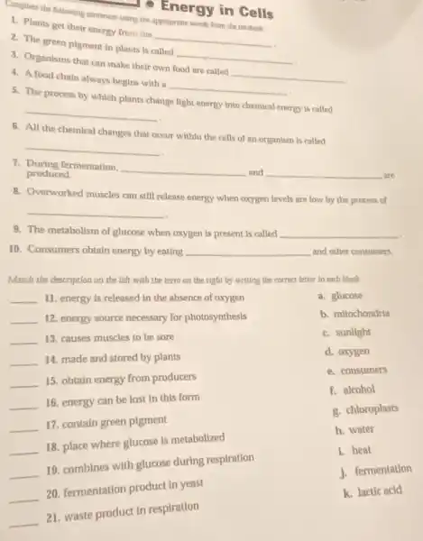 1. print the following sentence soing the appropriate words from the textbook.
1. Plants get their energy from the
__
a. The green pigment in plants is called
__
4. Organisms that can make their own food are called
4. A food chain always begins with a
__
__
5. The process by which plants change light energy Into chemical energy is called
__
6. All the chemical changes that occur within the cells of an organism is called
__
7. During fermentation.
__
and
__
are
produced.
8. Overworked muscles can still release energy when oxygen levels are low by the process of
__
9. The metabolism of glucose when oxygen is present is called
__
10. Consumers obtain energy by eating
__
and other consumers.
Energy in Cells
Match the description on the left with the term on the right by writing the correct letter in each blank.
__
11. energy is released in the absence of oxygen
__
12. energy source necessary for photosynthesis
__
13. causes muscles to be sore
__ 14. made and stored by plants
__ 15. obtain energy from producers
__ 16. energy can be lost in this form
__ 17. contain green pigment
__ 18. place where glucose is metabolized
__ 19. combines with glucose during respiration
__ 20. fermentation product in yeast
__ 21. waste product in respiration
a. glucose
b. mitochondria
c. sunlight
d. oxygen
e. consumers
f. alcohol
g. chloroplasts
h. water
1. heat
j. fermentation
k. lactic acid