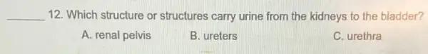 __ 12. Which structure or structures carry urine from the kidneys to the bladder?
A. renal pelvis
B. ureters
C. urethra