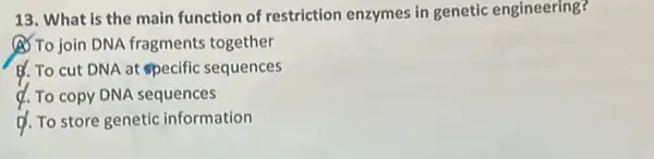 13. What is the main function of restriction enzymes in genetic engineering?
(A) To join DNA fragment:together
B. To cut DNA at specific sequences
d. To copy DNA sequences
d. To store genetic information