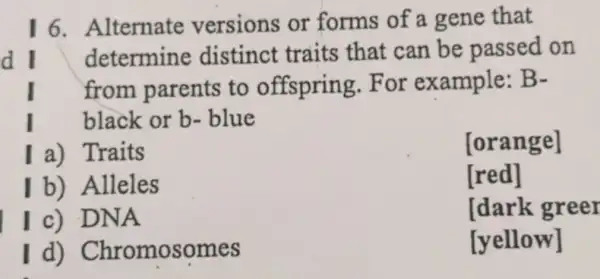 16.Alternate versions or forms of a gene that
dl determine distinct traits that can be passed on
I from parents to offspring . For example: B-
I black or b.blue
I a) Traits
[orange]
I b) Alleles
[red]
I c) DNA
ldark greer
Id)Chromosomes
[yellow]