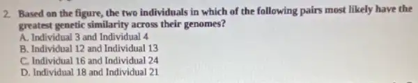 2. Based on the figure, the two individuals in which of the following pairs most likely have the
greatest genetic similarity across their genomes?
A. Individual 3 and Individual 4
B. Individual 12 and Individual 13
C. Individual 16 and Individual 24
D. Individual 18 and Individual 21