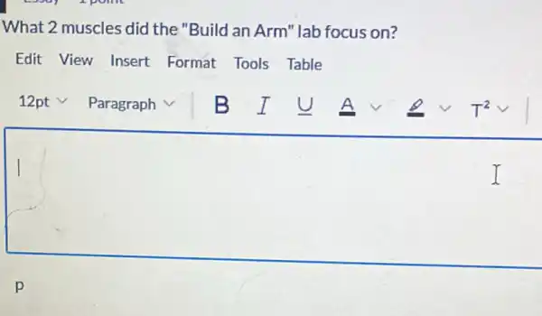 What 2 muscles did the "Build an Arm'lab focus on?
Edit View Insert Format Tools Table
square