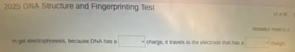 2025 DNA Structure and Fingerprinting Test
12 of 25
POSSIBLE POINTS 4
in gel electrophoresis, because DNA has a square  charge, it travels to the electrode that has a square  charge