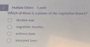 2
Multiple Choice 1 point
Which of these is a power of the Legislative branch?
declare war
negotiate treaties
enforce laws
interpret laws