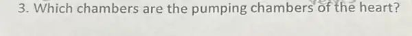 3. Which chambers are the pumping chambers of the heart?