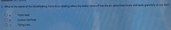 3. What is the name of the breathtaking move in ice skating where the skater takes off into the alr,spins three times, and lands gracefully on one foot?
a Triple Axel
b Double Salchow
C Flying Lutz