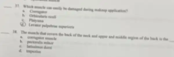 __
37. Which monede can easily the dismaged charing makeup application?
. Corrugator
and
. Plety-time
(1) Levitor polpotivas suggestionis
__ 38. The muscle that covers the back of the mech and upper and middle region of the back is the
. corrugator muscle
b pectoralis minor
c. latissimus dors
d. trapezius