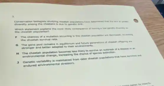 3.
Conservation biologists studying chestal populations have determined that the lack of goners.
diversity among the cheetahs is due to
Which statement explains the most likely consequence of having a low genetic diversity on
the cheetah population?
. The chances of a mutation occurring in the cheetah population are decreased increasing
the cheetah survival rate.
a
The gene pool remains in equilibrium and future generations of cheatah offogring are
stronger and better adapted to their environments.
H The cheetah population becomes less likely to survive an outbreak of a disease on an
environmental change, horeasing the chance of spedes extinction
,
Genetic variability is maintained from older cheetah populations that have survived and
endured environmental stressors.