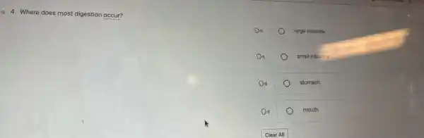 4) 4. Where does most digestion occur?
Din)	large intestine
4)	small intestine
Din)	stomach
Di)	mouth
Clear All