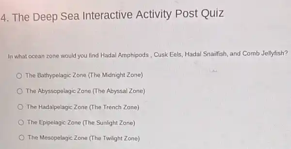 4. The Deep Sea Interactive Activity Post Quiz
In what ocean zone would you find Hadal Amphipods , Cusk Eels, Hadal Snailfish, and Comb Jellyfish?
The Bathypelagic Zone.(The Midnight Zone)
The Abyssopelagic Zone (The Abyssal Zone)
The Hadalpelagic Zone (The Trench Zone)
The Epipelagic Zone (The Sunlight Zone)
The Mesopelagic Zone (The Twilight Zone)