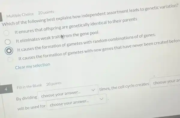 4
Multiple Choice 20 points
Which of the following best explains how independent assortment leads to genetic variation?
It ensures that offspring are genetically identical to their parents
It eliminates weak traits/from the gene pool
C It causes the formation of gametes with random combinations of of genes.
It causes the formation of gametes with new genes that have never been created befor
Clear my selection
Fill in the Blank 20 points
By dividing square  V times, the cell cycle creates square 
will be used for square  v