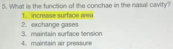 5. What is the function of the conchae in the nasal cavity?
1. increase surface area
2. exchange gases
3. maintain surface tension
4. maintain air pressure