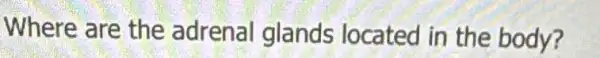 Where are the adrenal glands located in the body?