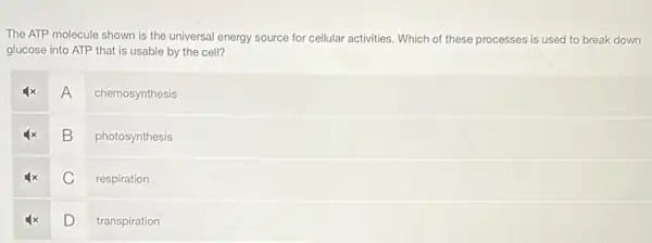 The ATP molecule shown is the universal energy source for cellular activities.Which of these processes is used to break down
glucose into ATP that is usable by the cell?
A
chemosynthesis
B
photosynthesis
C
respiration
D
transpiration