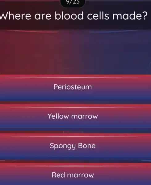 where are blood cells made?
Periosteum
Yellow marrow
Spongy Bone
Red marrow