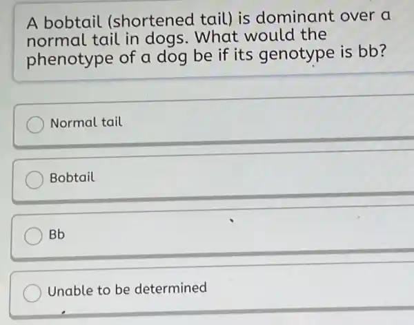 A bobtail (shortened tail) is dominant over a
normal tail in dogs . What would the
phenotype of a dog be if its genotype is bb?
Normal tail
Bobtail
Bb
Unable to be determined